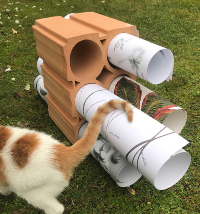 kepler kiosk downloads